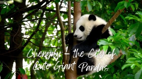 5 Best Places To Visit in China in 2023 #vlog #travel #china