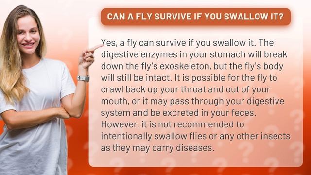 Can a fly survive if you swallow it? смотреть онлайн