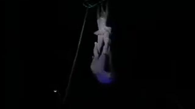 Cirque du Soleil Aerial Act from 1987 смотреть онлайн