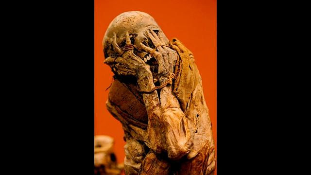 Необычные исторические и археологические находки.