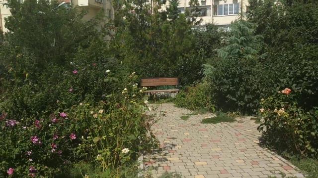 Сквер Шаг в будущее в Гурзуфе, во дворе улицы Подвойского 9 смотреть онлайн