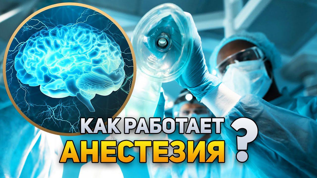 Как работает анестезия? | DeeaFilm смотреть онлайн