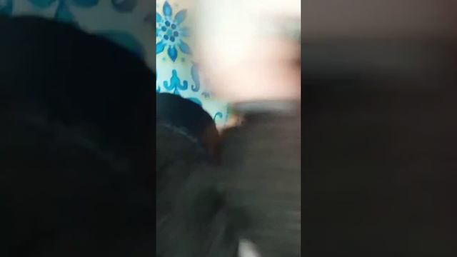 Тёплые сапожки,часть третья - завершение! смотреть онлайн