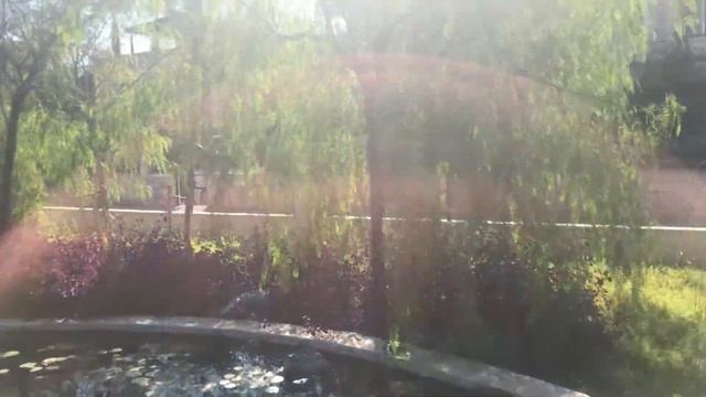 Ботанический сад в Кемере. Отпуск в Турции. Urlaub In Kemer