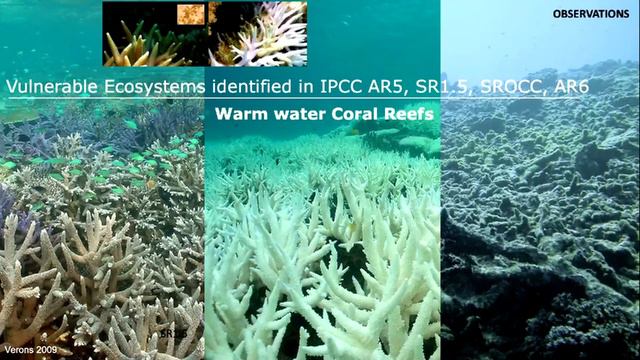 Planet Ocean: Tides Are Changing - World Oceans Day 2023 смотреть онлайн