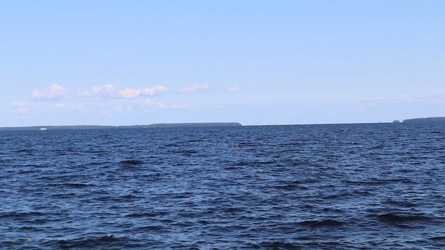 На берегу Онего. Четверг, 6 августа 2024 г