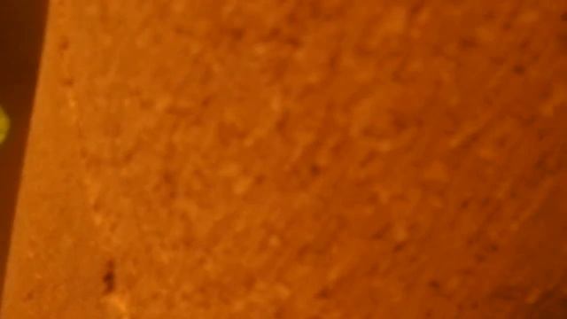 Стоит ли ложить ламинат по всей квартире ,включая кухню. смотреть онлайн