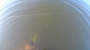 Находки которые радуют!Пляжный коп под водой!
