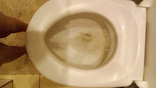 унитаз! унитаз! унитаз! смотреть онлайн