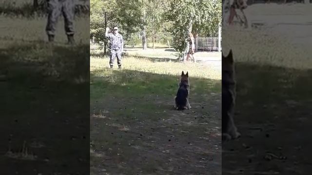 Показуха смотреть онлайн