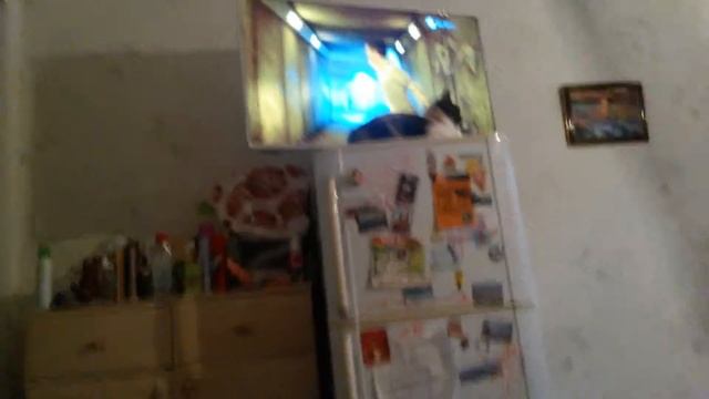 Путишествие козявки смотреть онлайн