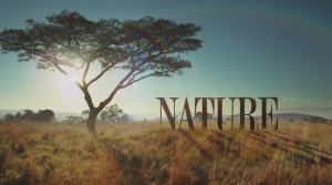 Природа - 41 сезон 4 серия / Nature (озвучка Jaskier)