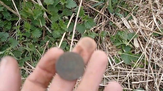 Давно так не везло, супер шурф!