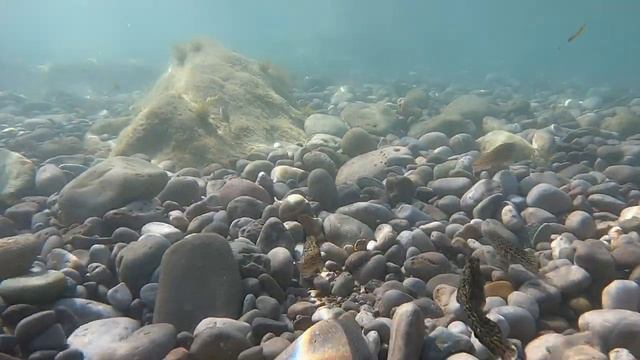 Форос Зелёный пляж. смотреть онлайн