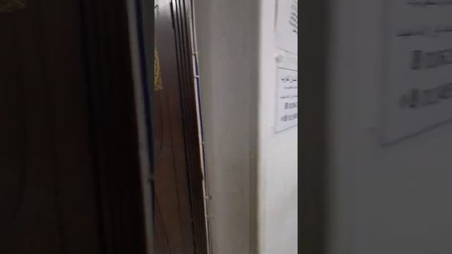 Школа Арабского языка в Каире смотреть онлайн