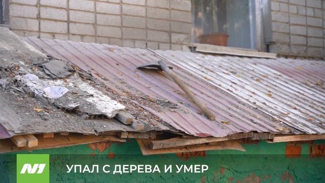 УПАЛ С ДЕРЕВА И УМЕР смотреть онлайн