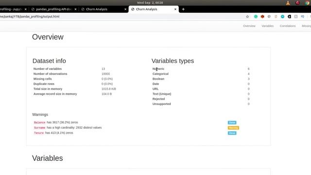 Everything about Pandas profiling (Hindi) | Automate EDA | Data Visualisation |Pandas ProfileReport смотреть онлайн