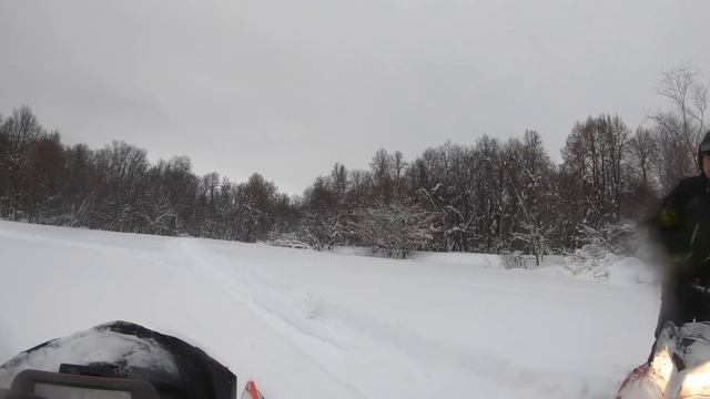 Деревенская жизнь/ Нашли кабанов рядом с лошадьми/ Башкирская порода лошадей смотреть онлайн