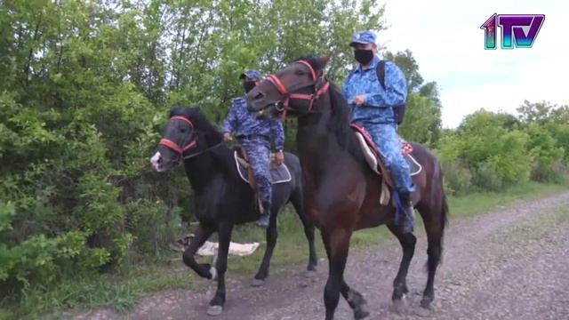 04.06.20. Конная полиция — на охране порядка в дачных обществах Петропавловска смотреть онлайн
