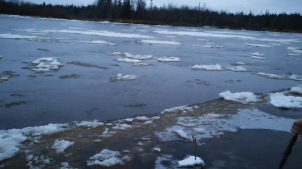 Налим на ерша. Пошла шуга.