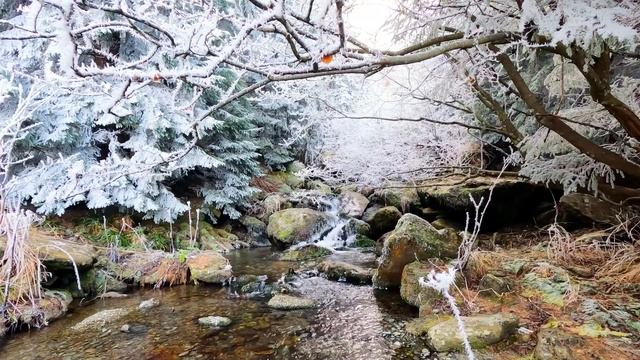 Пение птиц и расслабляющая фортепианная музыка сочетаются в красивой природе ? 18 смотреть онлайн