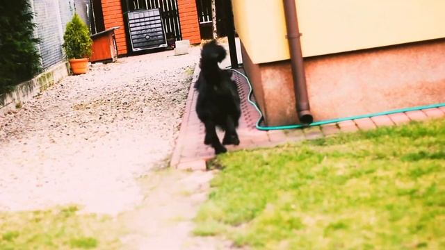 Film test canon 50mm 1.8 - body canon 100D смотреть онлайн