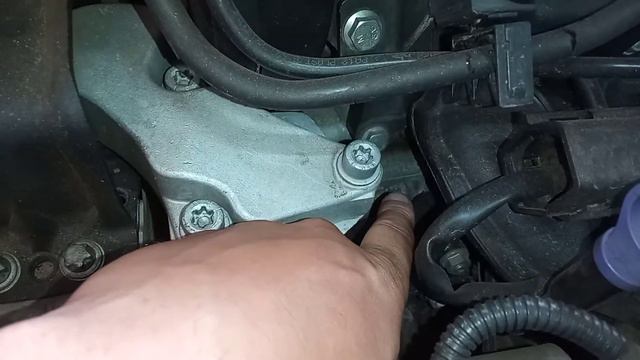 Onde Encontrar A Numeração De Motor E Chassi Do Peugeot 307 Ano 2006