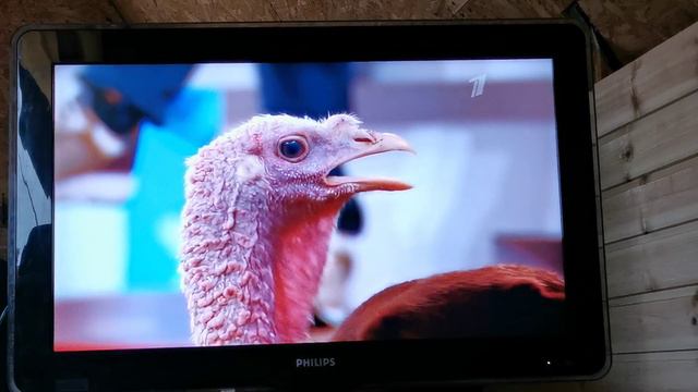 Наша передача на первом канале Видели Видео.