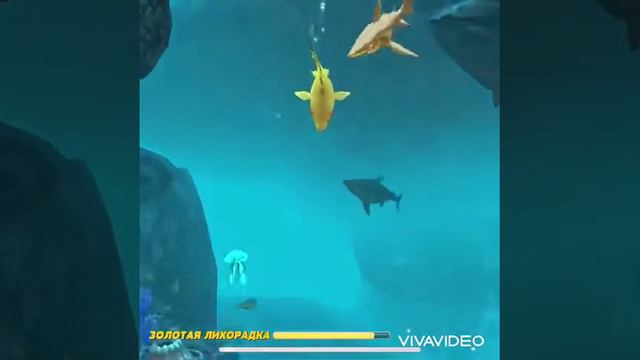 Baby shark beby shark беби шарк беби шат акула балакай смотреть онлайн