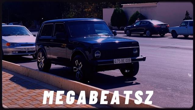 MegaBeatsZ - Dünya Gözəli Remix ( Ft. Səfər Xıdırov )