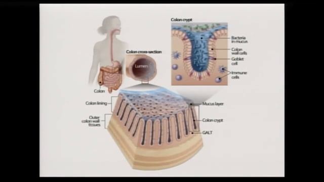 David Montgomery Keynote смотреть онлайн