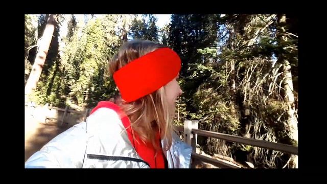 СЕКВОЙЯ ПАРК Калифорния