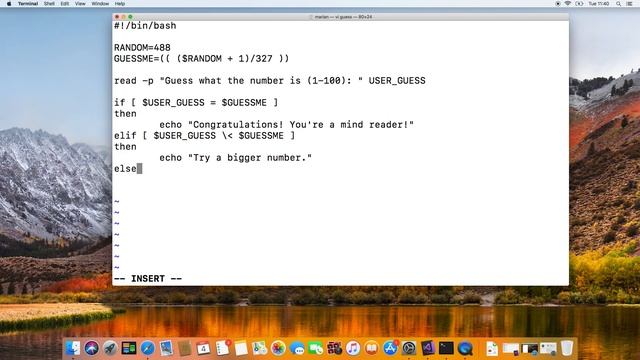 Linux Bash Scripting Basics - Part 3, IF statements смотреть онлайн