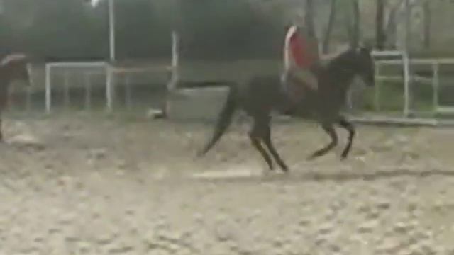 Виктор Йовчев с Кукла, Конен клуб Елена смотреть онлайн