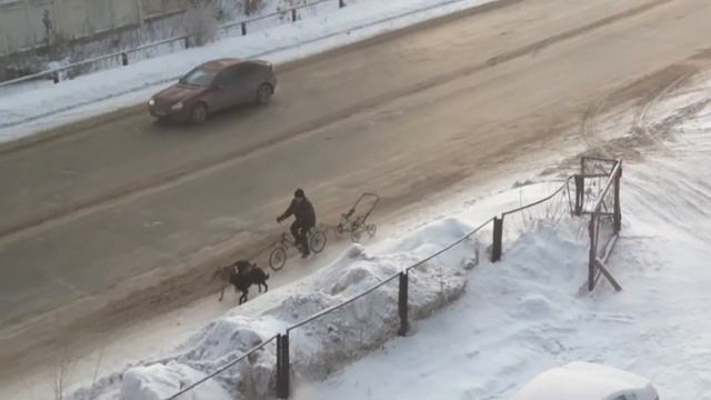 Челябинский Дед Мороз смотреть онлайн