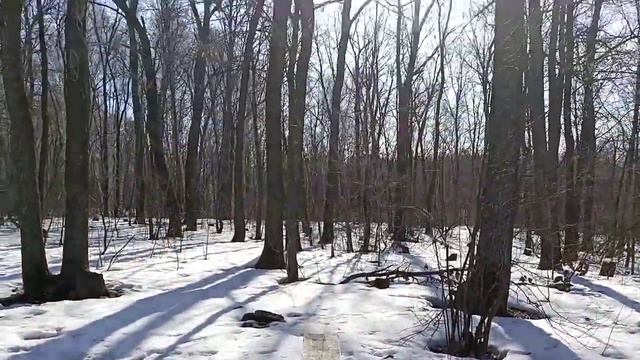 Прекрасное время года) смотреть онлайн