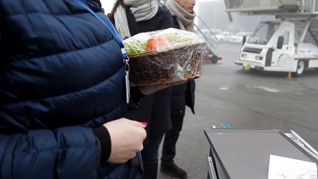 Qatar Airways Cargo в Международном аэропорту Алматы смотреть онлайн