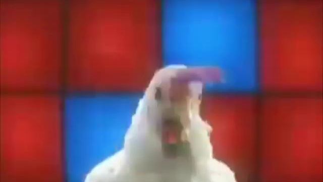 Chicken Dance Hip Hop Remix.mpg