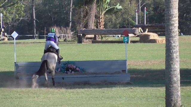Madeline Hartsock & Tullabeg Tango PR XC pt 1 смотреть онлайн