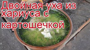Рецепты из хариуса - как приготовить хариуса пошаговый рецепт - Двойная уха из хариуса с картошечкой