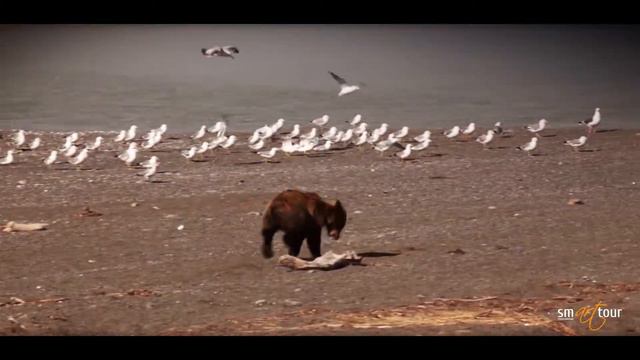Welcome to Sakhalin!!! Добро пожаловать на Сахалин! смотреть онлайн