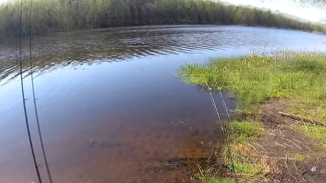 Рыбалка Лапичи смотреть онлайн