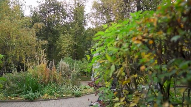 Моя прогулка - Районы Сокол и Хорошевский смотреть онлайн