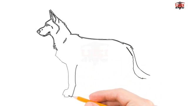 How to Draw a German Shepherd Step by Step Easy for Beginners – Simple Dog Drawing Tutorial смотреть онлайн