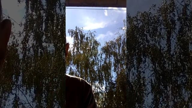 наконец-то я перестал снимать видео с тик ток смотреть онлайн