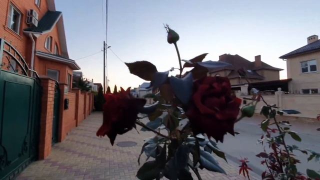Ейск. Вечерний релакс! смотреть онлайн