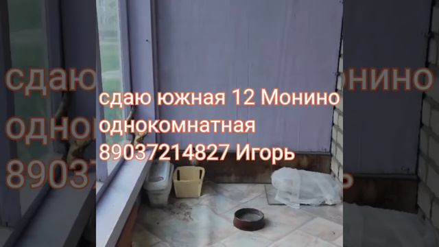 Сдам однокомнатную на длительный срок. смотреть онлайн