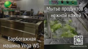 Очистка, мойка свежей зелени, машина Vega WS | Барботажная мойка для овощей