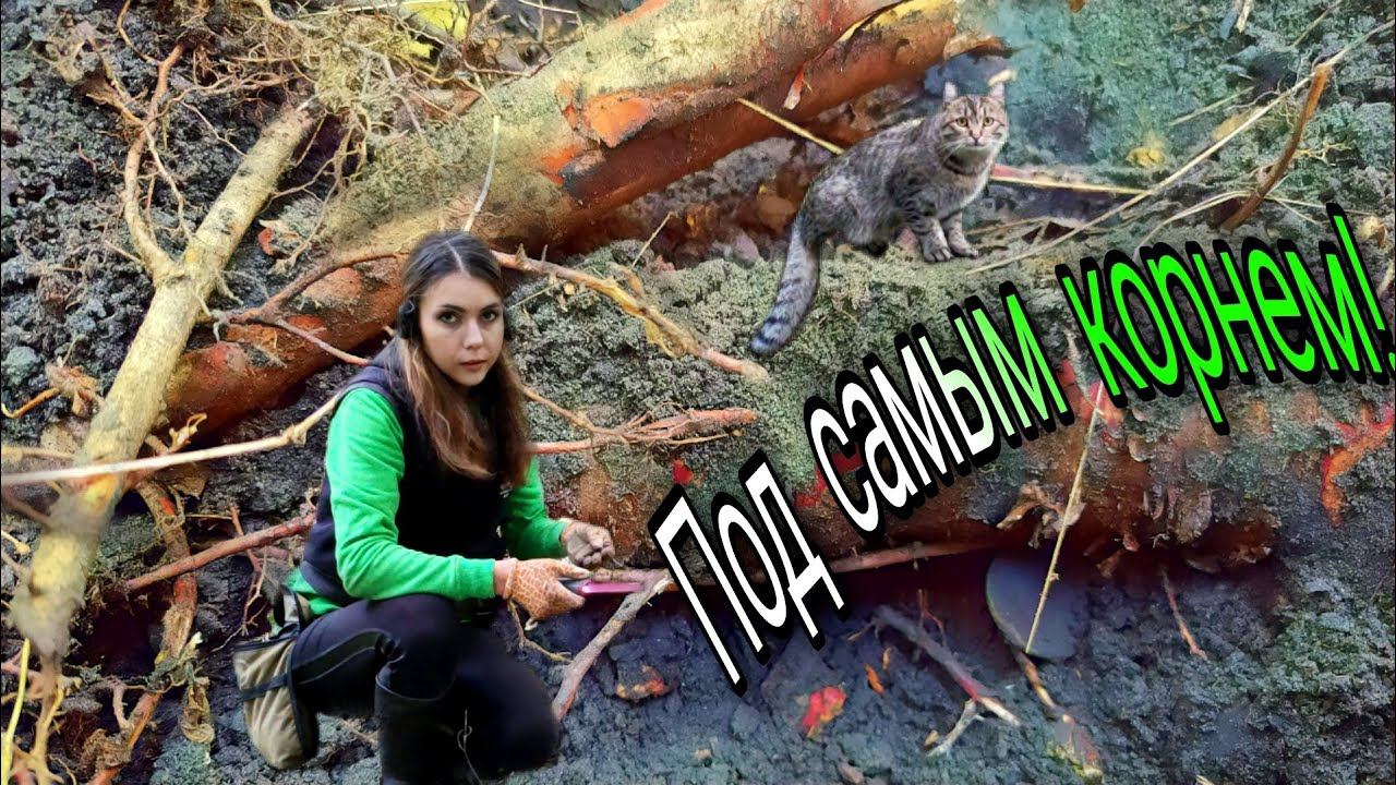 Коп по старине 2022. С трудом достала её из под корней! Девушка в поиске клада. смотреть онлайн
