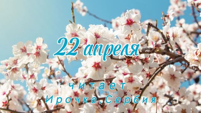 22 Апреля - Счастливая медитация смотреть онлайн